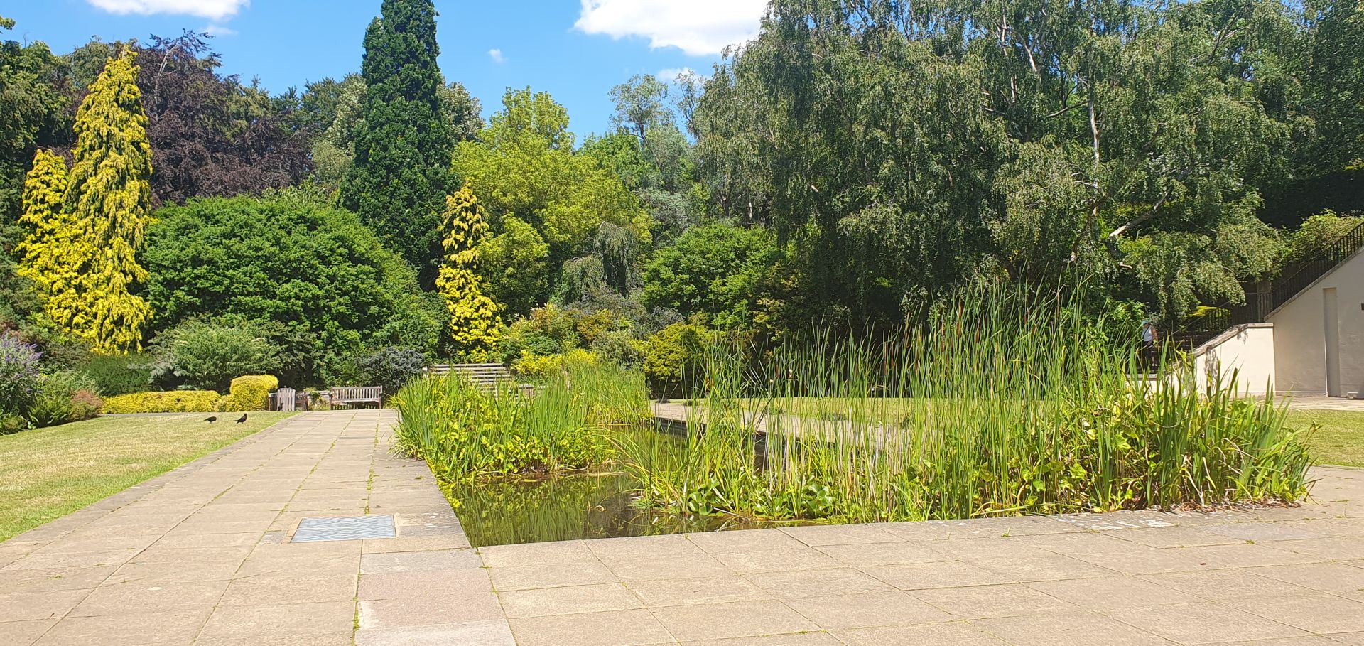 Hill Garden